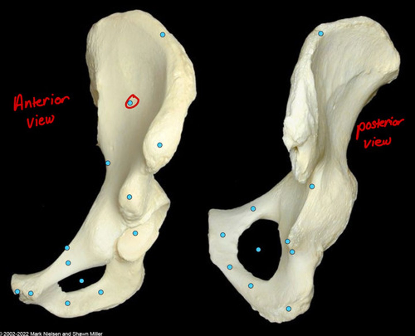 knowt flashcard image
