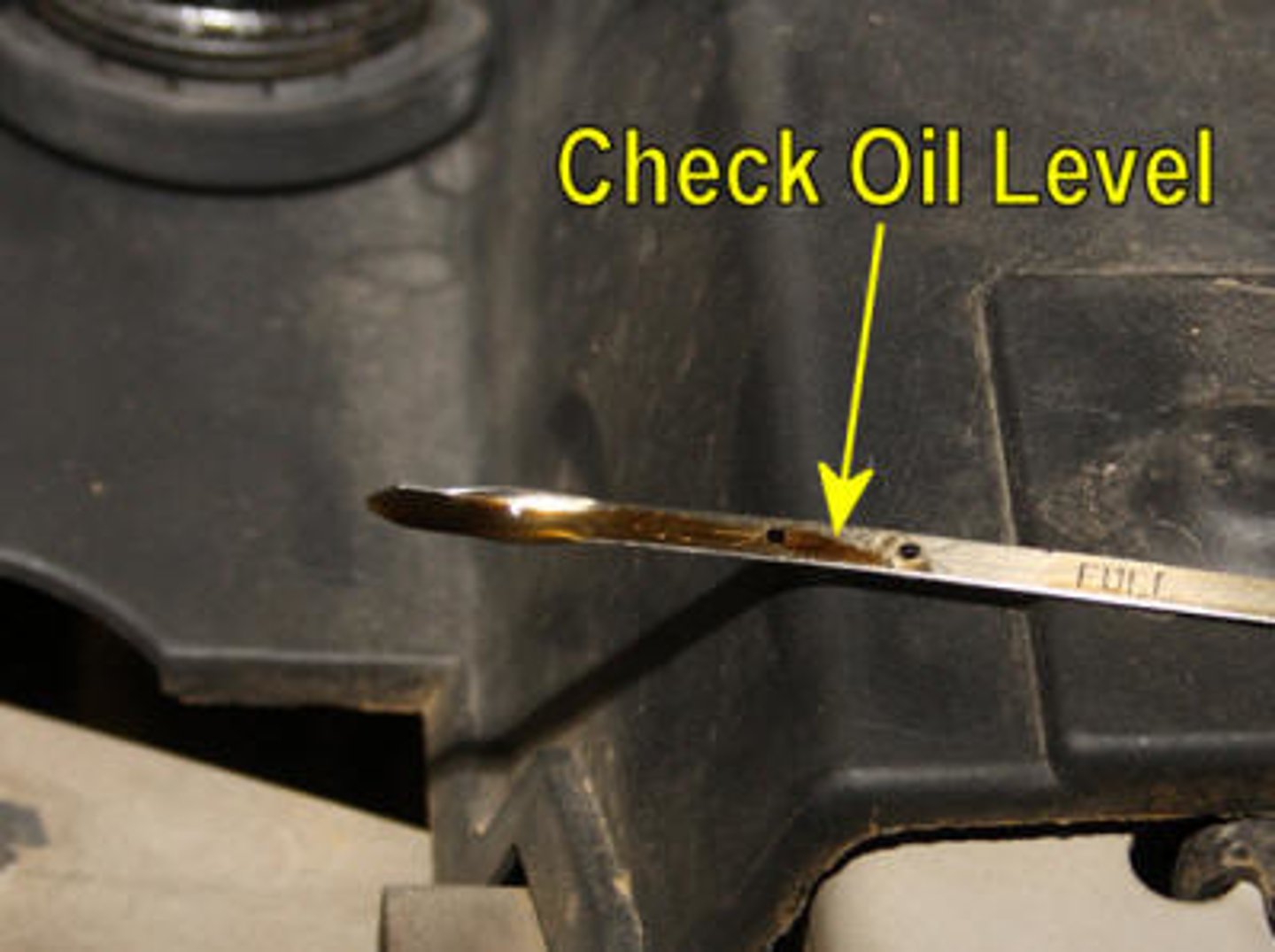 <p>to check (the oil)</p>