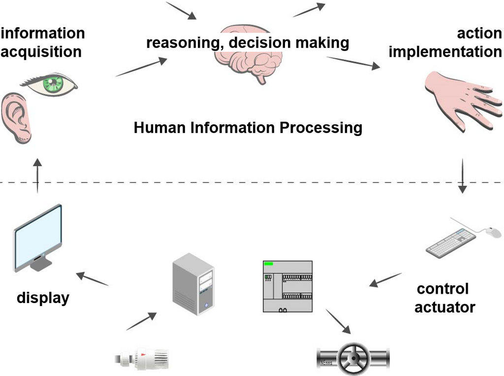 <p>What is the significance of the Human Information Processing System?</p>