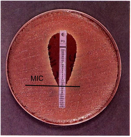 <p>an agar based quantitative susceptibility test</p><p>diffusion method that enables MIC values to be estimated directly</p><p>an extended series of two fold dilutions of an initially high standard concentration of antibiotic</p><p>antibiotic concentrations are distributed linearly along a special carrier strip</p><p>MIC is the concentration corresponding to the point of intersection of the eclipse zone as shown</p>