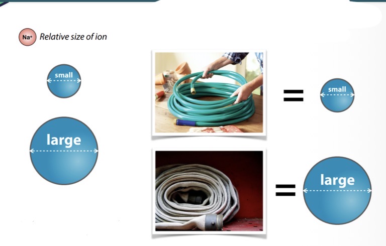 <p>What does it mean when an axon has a large diameter?</p>