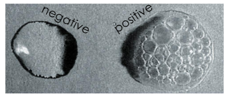 <p>Some microbles produce catalase</p><p>H2O2 + H2O2 → 2H2O + O2</p>