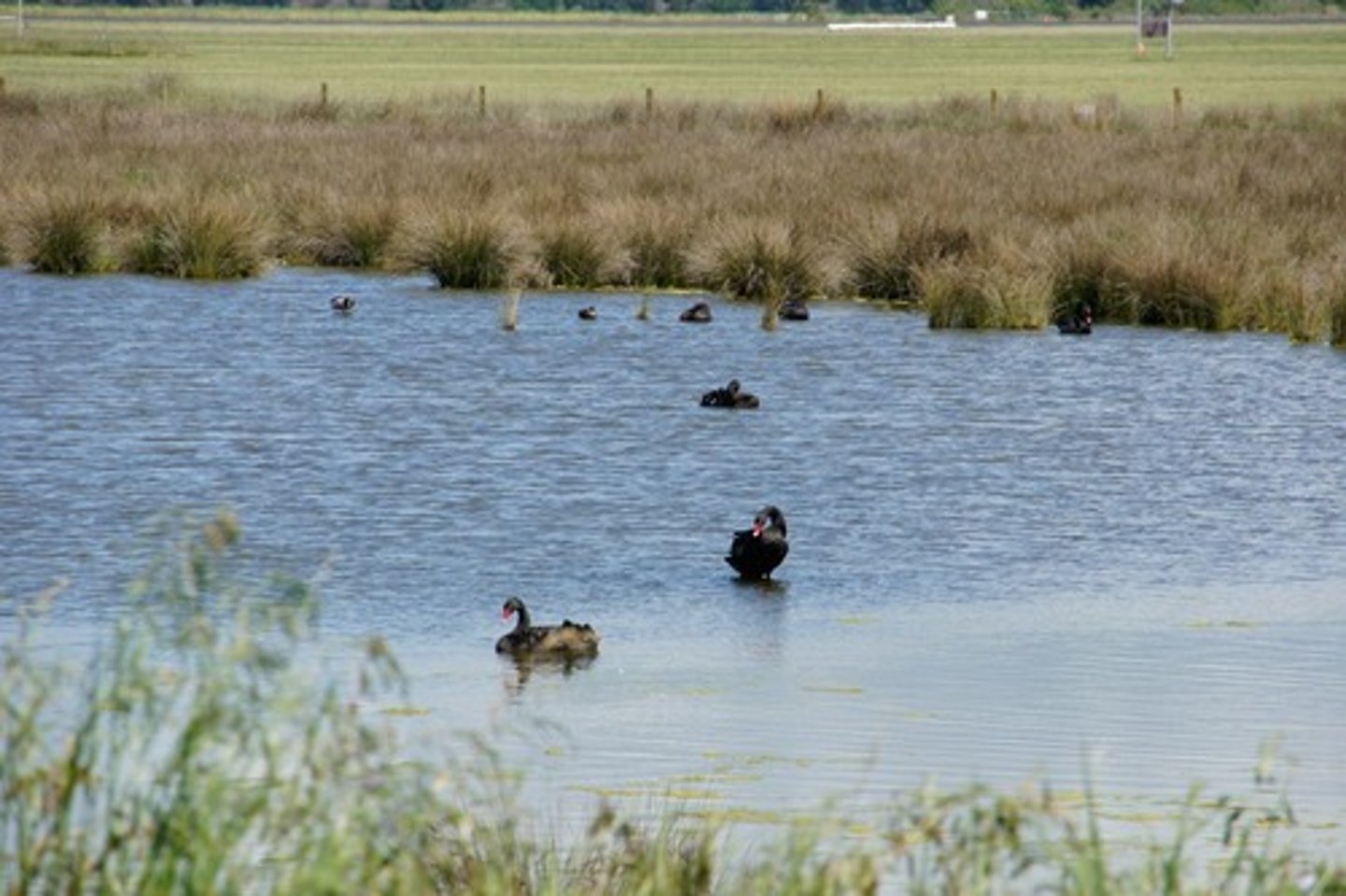 <p>заповідник</p>