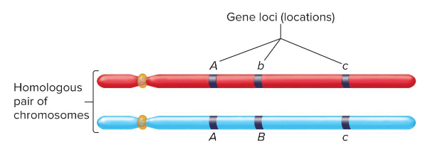 <p>cc</p>