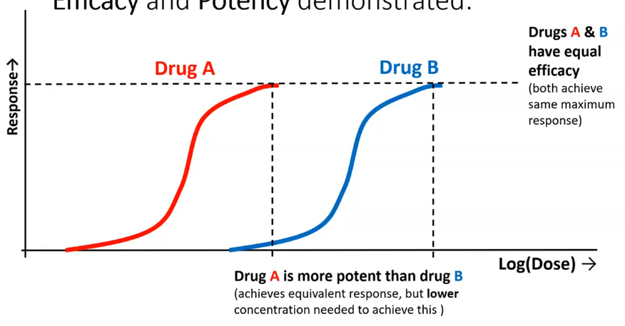 <p>comparing drug a and b</p><p>both drugs have equal efficiacy as both ahieve max response </p><p>have different potency </p><p>drug a is more potent than drug b as less conc is needed from a to achieve the same efficiacy than drug b  </p>