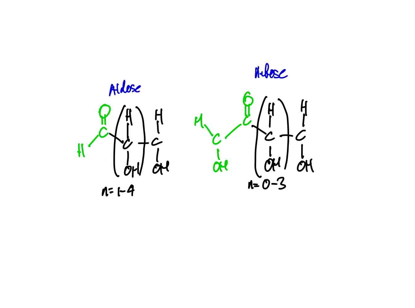 <p>Aldoses and Ketoses.</p>