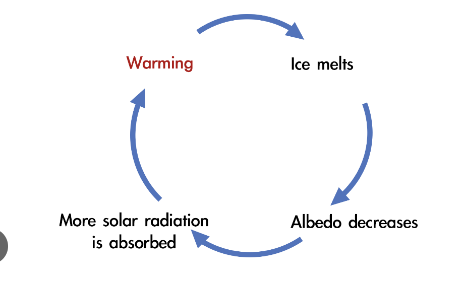 <p>amplifies change → deviation from stability, diverges from equilibrium</p><ul><li><p>removing forest amplifies erosion</p></li></ul><p></p>