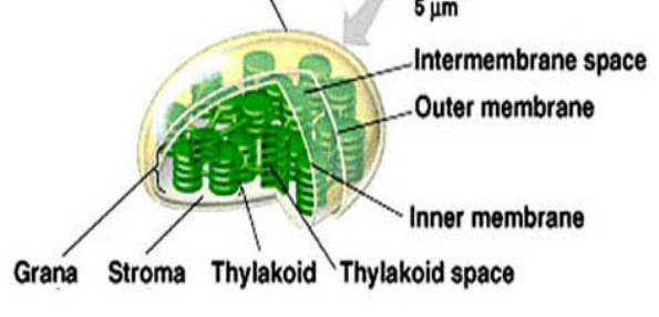 <p>What is this?</p>