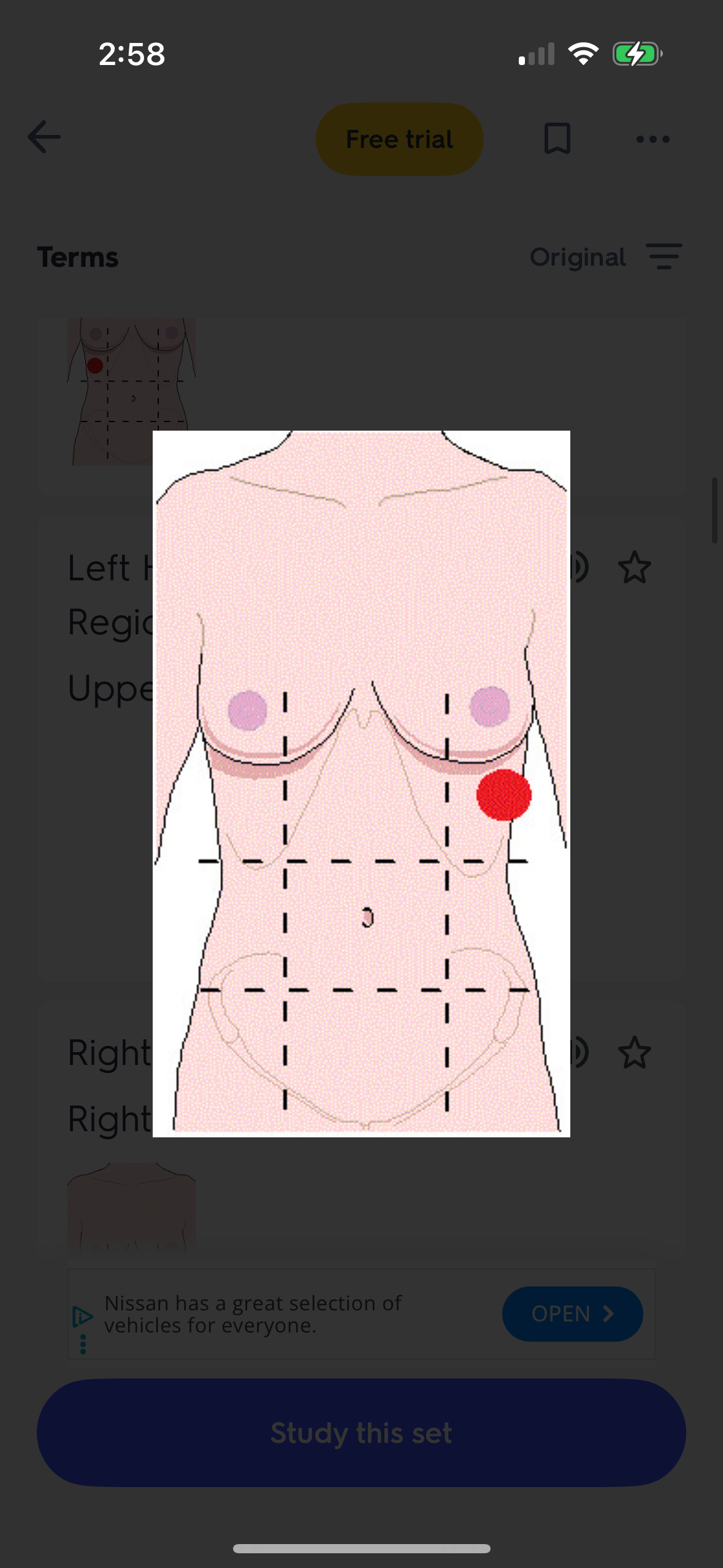 knowt flashcard image