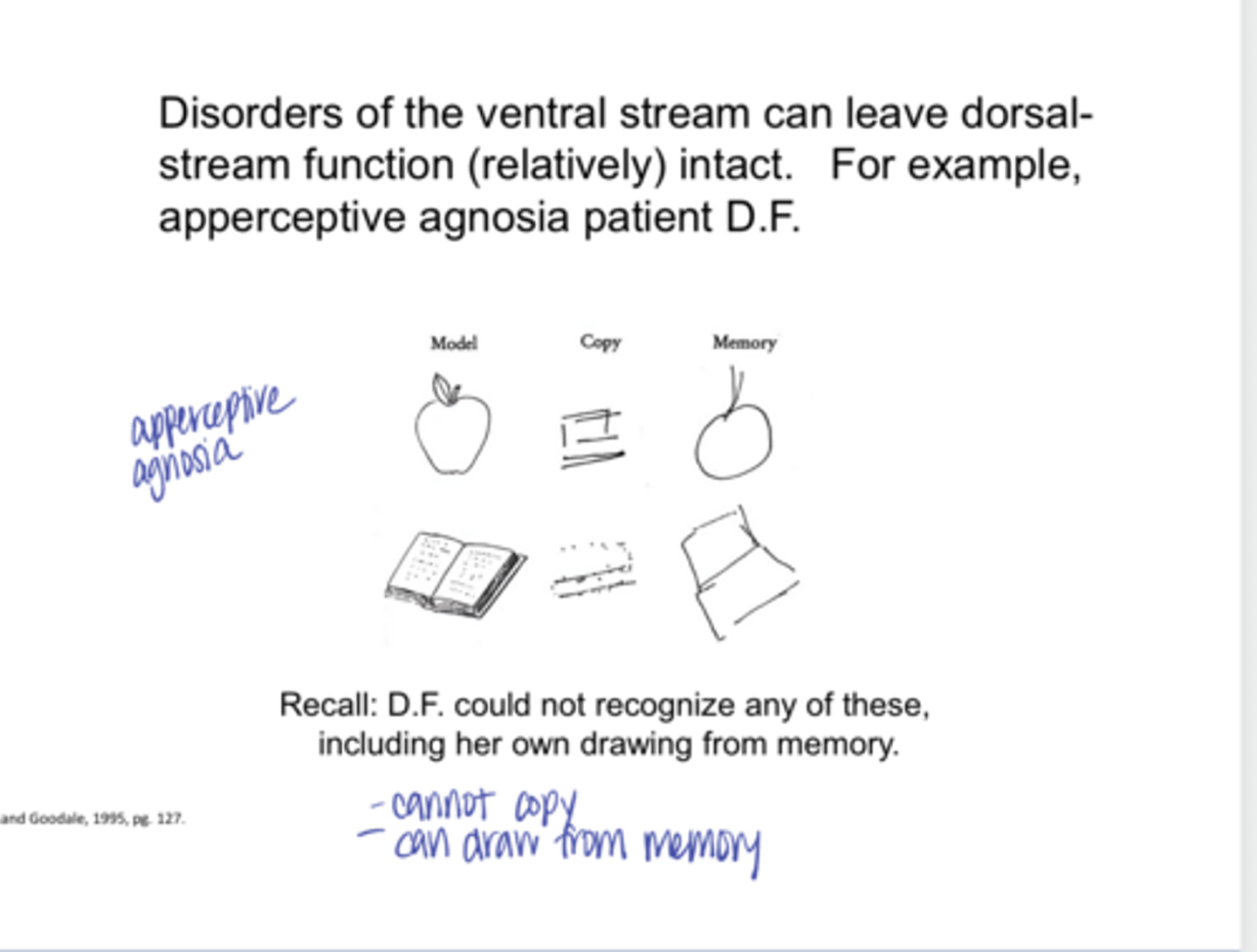 <p>True or False: </p><p>Ventral stream disorders can leave the dorsal stream function intact</p>