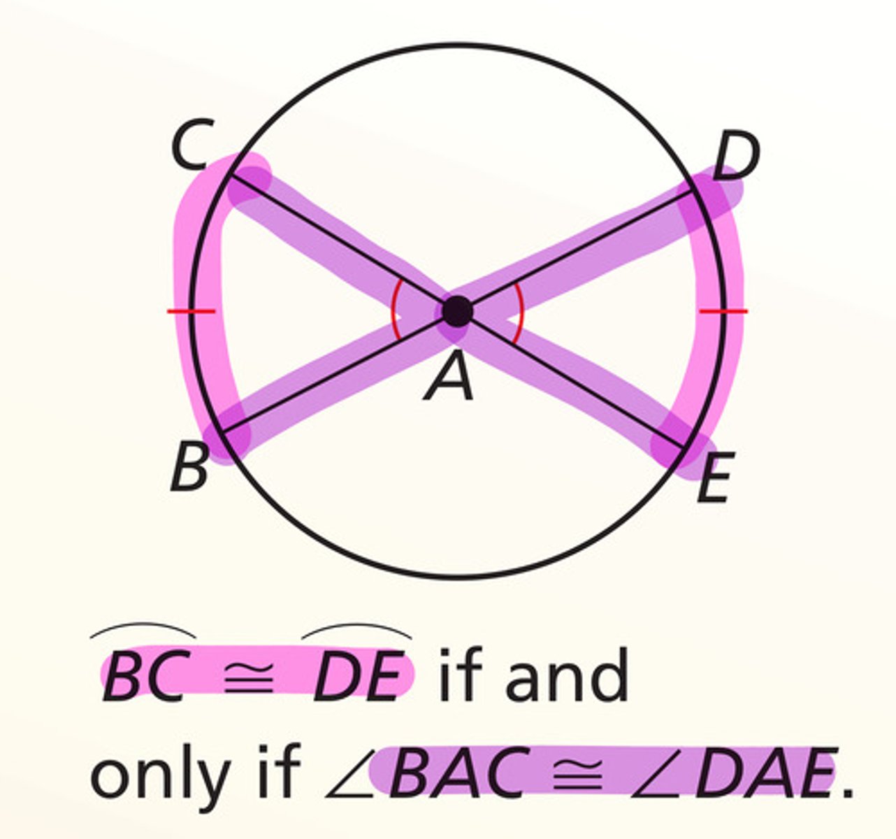 <p>In the same circle, or in congruent circles, two minor arcs are congruent if and only if their corresponding central angles are congruent</p>