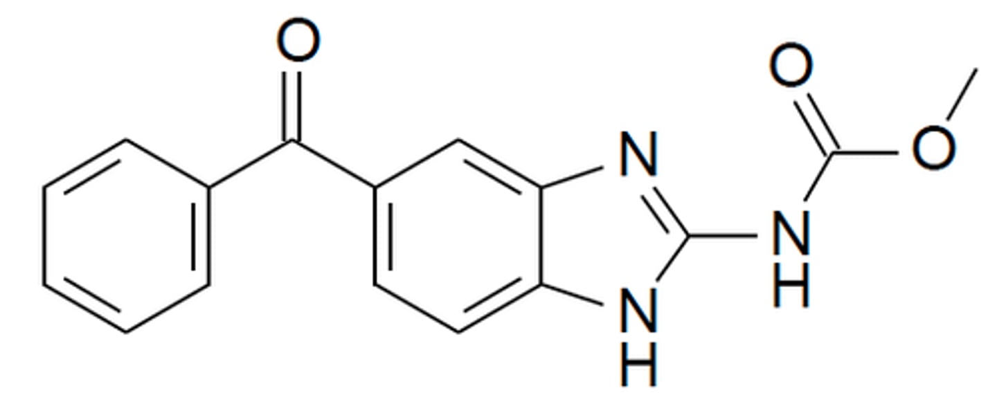 <p>inhibits fumarate reductase and binds to tubulin proteins to prevent tubulin polymerization to microtubules</p>