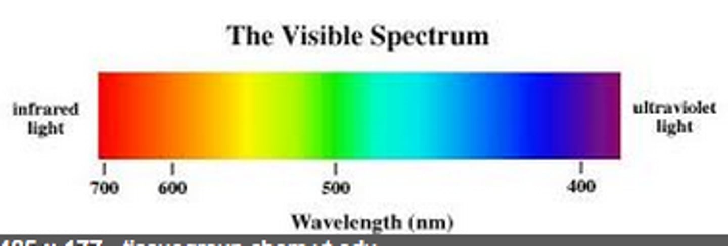 <p>the part of the electromagnetic spectrum that consists of waves detectable by the human eye</p>