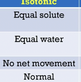 <p>Isotonic</p>