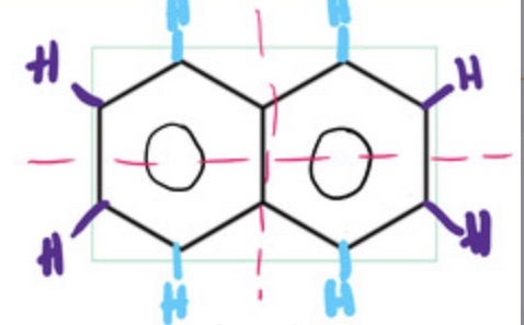 <ul><li><p>There are 2 lines of symmetry</p></li><li><p>2 environments</p></li></ul><p></p>