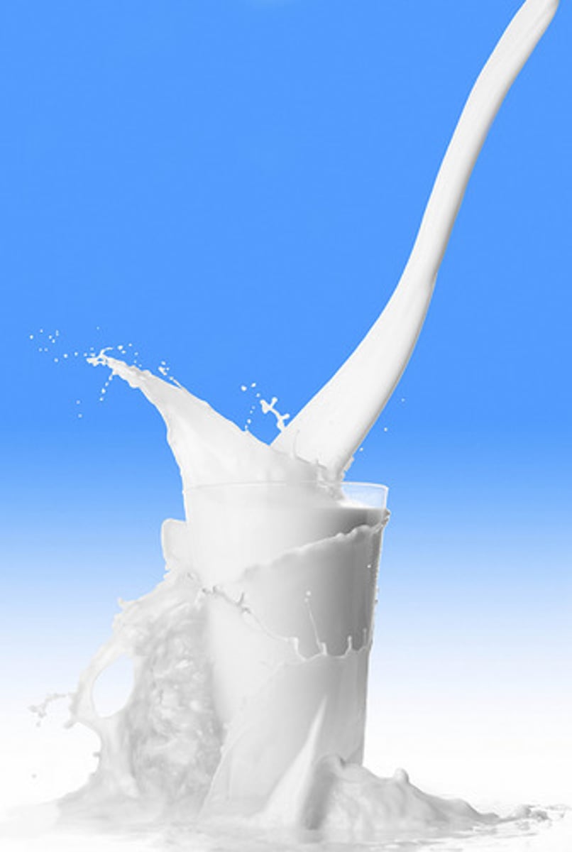 <p>milk</p>