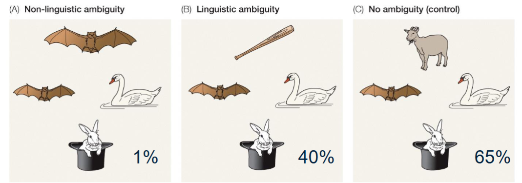 <p>ferreira (2005) findings</p><ul><li><p>how likely do speakers use just the bare nouns (ex. ‘bat’ instead of ‘small bat’?)</p></li></ul><p></p>