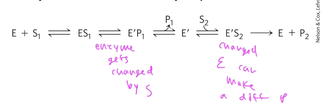 <p>the order matters</p><ul><li><p>E binds S1 and forms P1 then binds S2 and makes P2</p></li><li><p>E gets changed after it makes P1, causing it to now bind S2</p></li></ul><p></p>