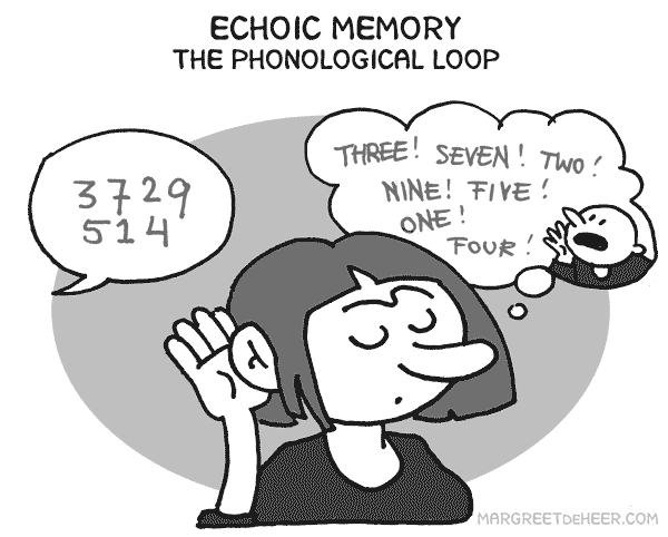 <p>Textbook: A momentary sensory memory of auditory stimuli; if attention is elsewhere, sounds and words can still be recalled within 3 or 4 seconds.<br>Mine: Holds auditory information until it can be processed and comprehended</p><p>Retrieval Cues:<br>-Eg: When a teacher asks what they just said </p>