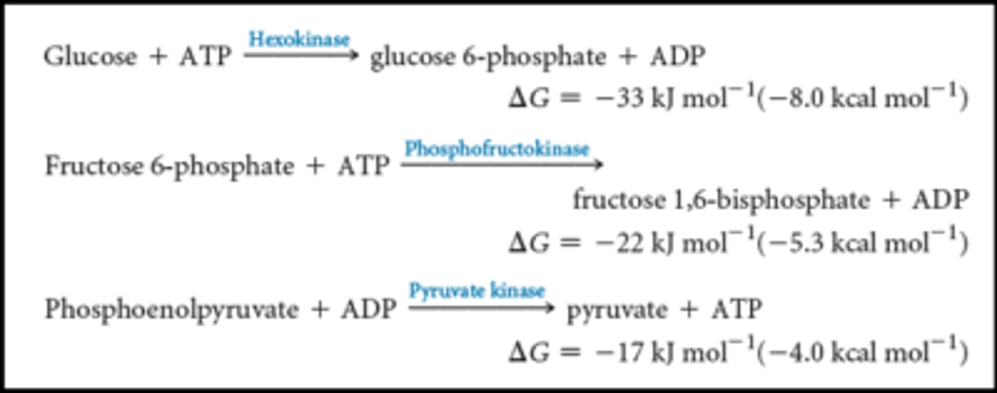 <p>The reversible steps of glycolysis have a ∆G value that is close to zero.</p><p>The irreversible steps of glycolysis on the other hand have a very large negative ∆G value. Thus, going in reverse (during gluconeogenesis) would require a huge amount of energy.</p>