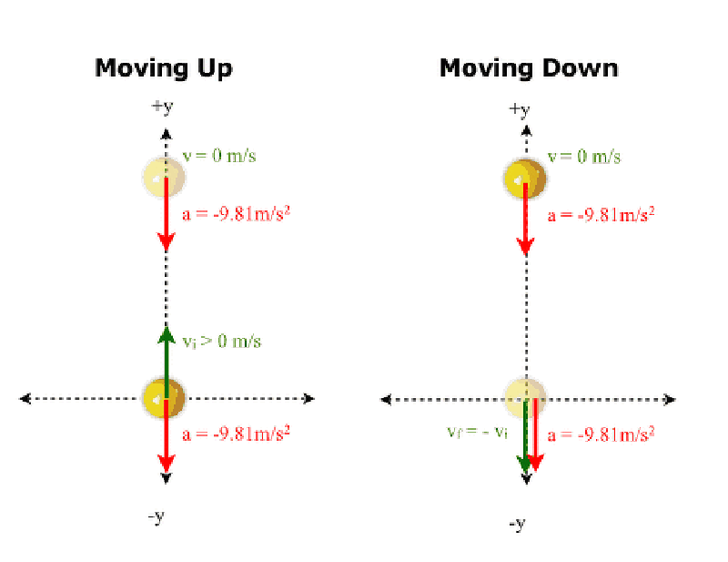 <p>Equals 9.8 m/s<sup>2</sup>. It is only under the influence of gravity.</p>