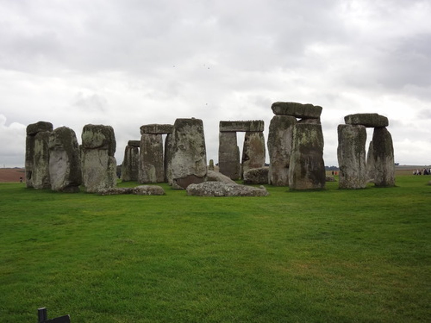<p>Standing stones arranged in a circle</p>