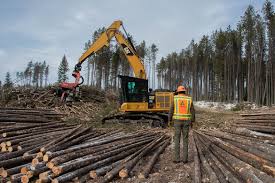 <p>List some man-made changes to the environment</p>