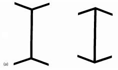 different line length thing