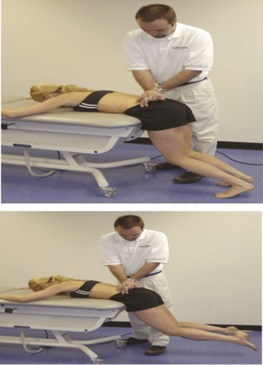 <p>With the Prone Instability Test, pain decreases due to _____ contraction ("bracing") instability</p>
