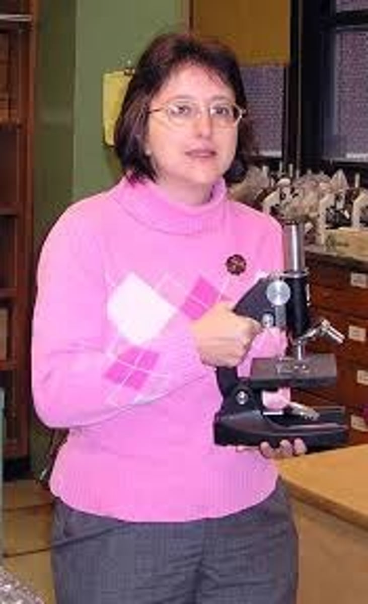 <p>Always carry the microscope by:</p><p>the arm with the other hand supporting the base</p>