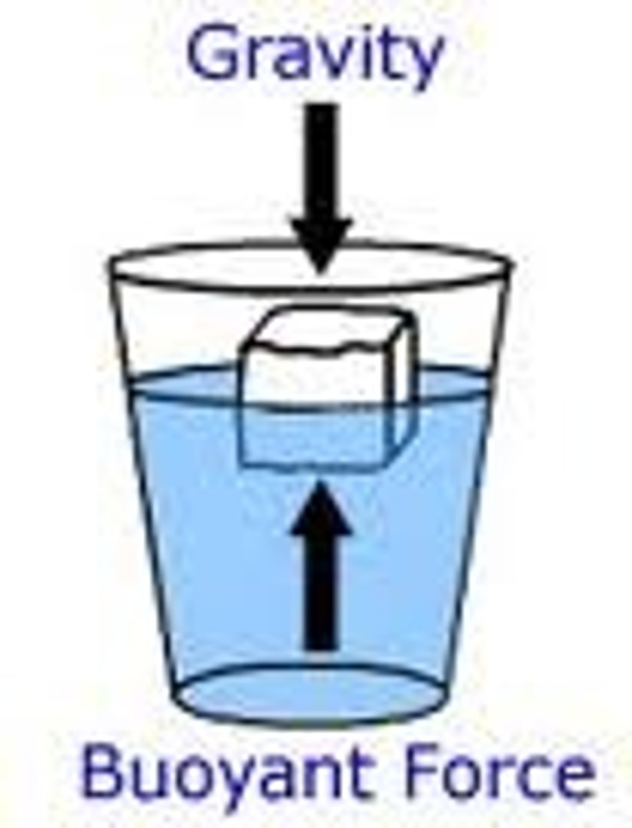 <p>Upward force on a body that allows it to float or rise when submerged in a liquid</p>