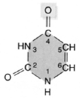 What  nucleic acid is this?