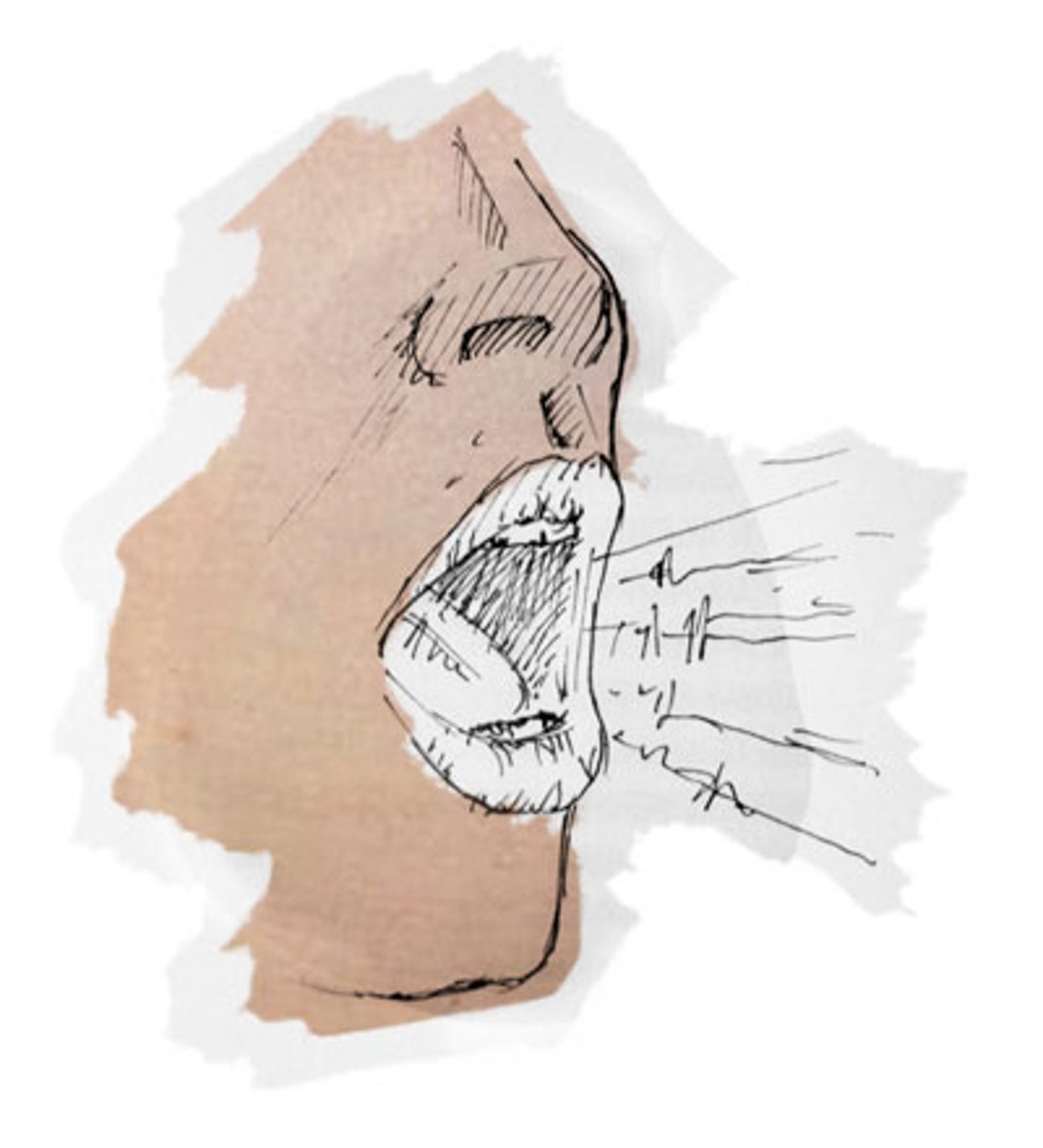 <p>(n): giọng nói</p>