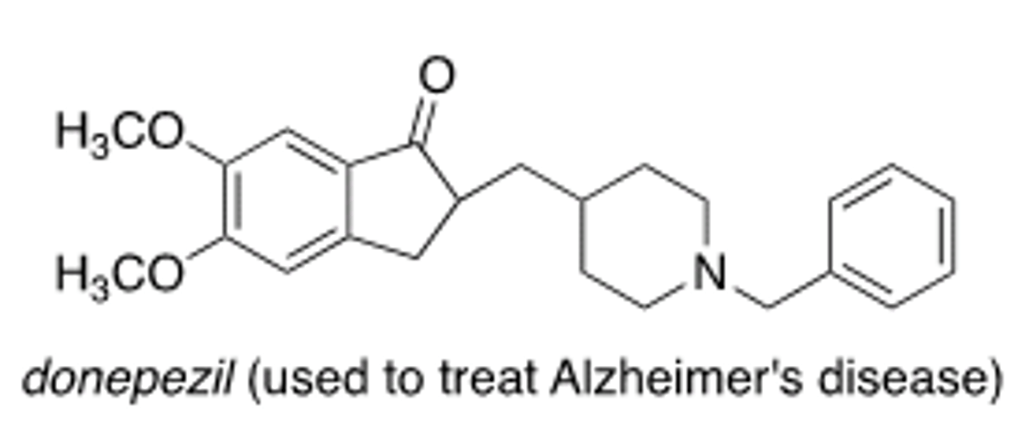 <p>D</p>