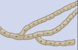 <p>What is this?</p>