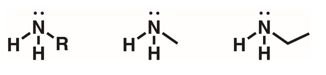 <p>1 of the hydrogen in ammonia replaced with an R group</p>