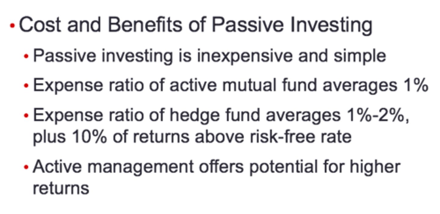 <p>Investing in a well-diversified portfolio or market index without attempting to search out mispriced securities</p>