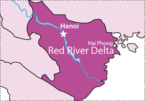 <p>flat low-lying plain formed by the Red River and its distributaries merging with the Thái Bình River in Northern Vietnam</p>