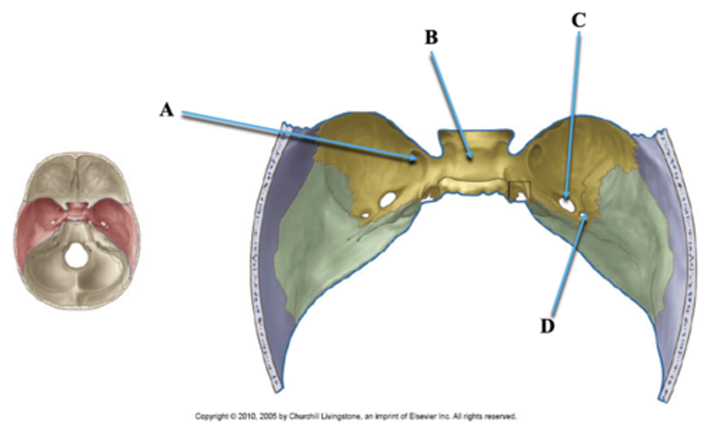 <p>Identify A.</p>