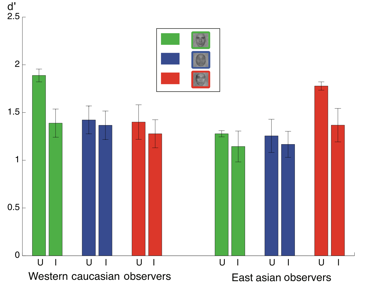 <p>Vizioli et al (2010)</p>