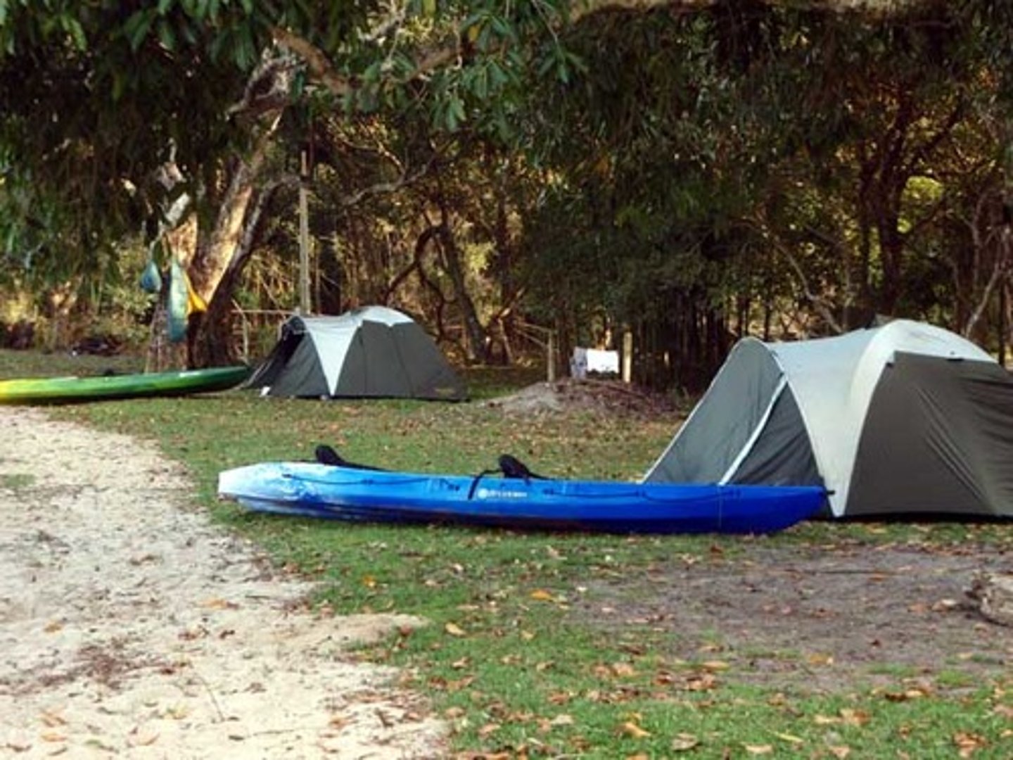 <p>acampar</p>