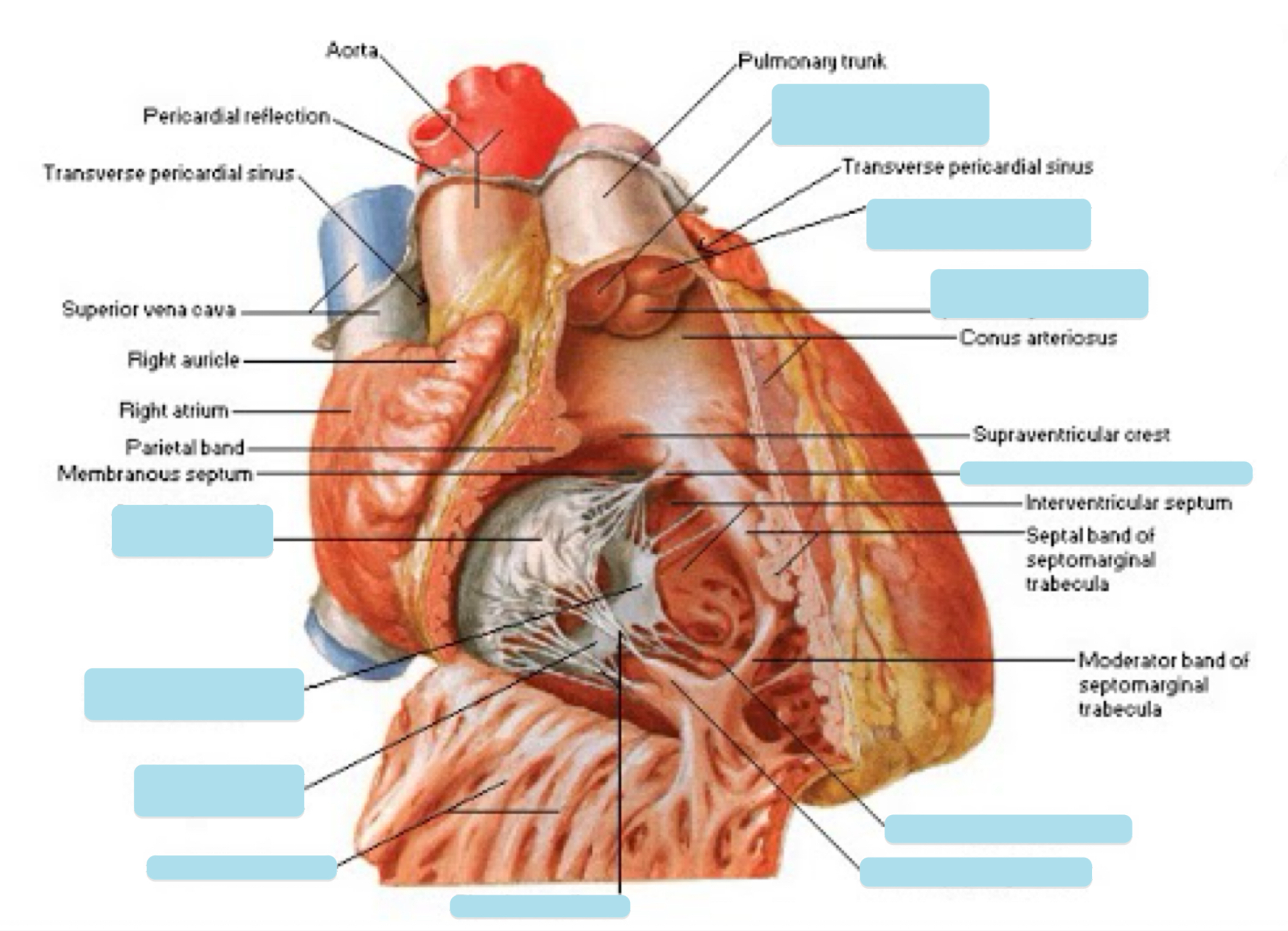 <p>Name the covered parts in the following photo</p>