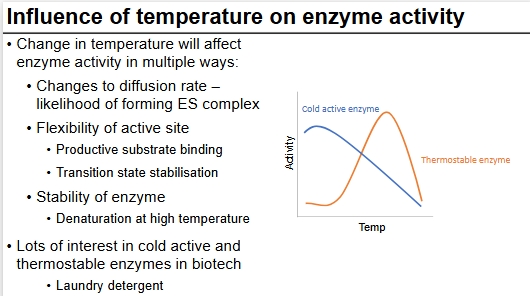 <p>Can also have optimums at different temperatures </p>