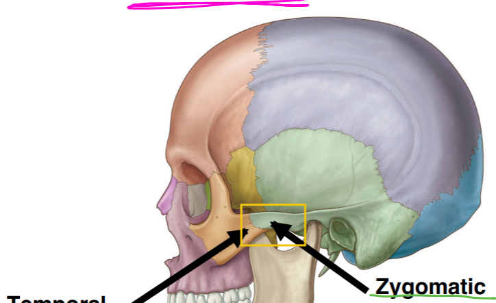 <p>fill in the yellow box:</p>
