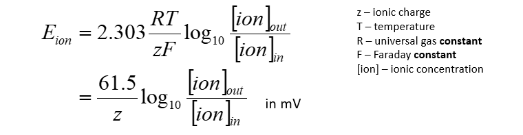 <p>This can be used to predict the membrane potential at equilibrium (This relates to the previous flashcard)</p><ul><li><p>this is assuming that the membrane is permeable to a single ion (which is rarely the case)</p></li><li><p><strong>[IMPORTANT]:</strong> The Nernst equation is a<strong> ‘theoretical’ potential.</strong> The actual observed membrane potential will depend on multiple ions and all those ion’s permeability.</p></li></ul><div data-type="horizontalRule"><hr></div><p>What do we need to know to use the Nernst equation? </p><ol><li><p>ionic concentrations (inside and outside the cell)</p></li><li><p>ionic charge of ion of interest</p></li></ol><p></p><p>Nernst equation in image</p><div data-type="horizontalRule"><hr></div><p>E<sub>ion</sub><span> is the voltage that counteracts movement of an ion due to its concentration gradient (and is used to refer to the ionic equilibrium potential for a particular ion)</span></p><ul><li><p>so if a membrane is permeable to only one ion, then the membrane potential will move towards that ion’s equilibrium potential.</p></li><li><p>And if the membrane potential equals the ion equilibrium potential, there will be no net movement of that ion.</p></li></ul><p></p><p></p>