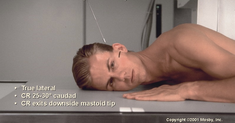 <p>What position is this?</p>