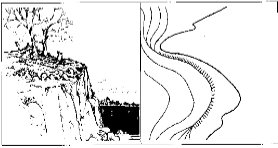 <p>A vertical or near vertical feature; it is an abrupt change of the land. The slope is so steep that the contour lines converge into one contour line or the last contour line has tick marks pointing to low ground.</p>