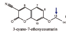<p>Name Enzyme&nbsp;</p>