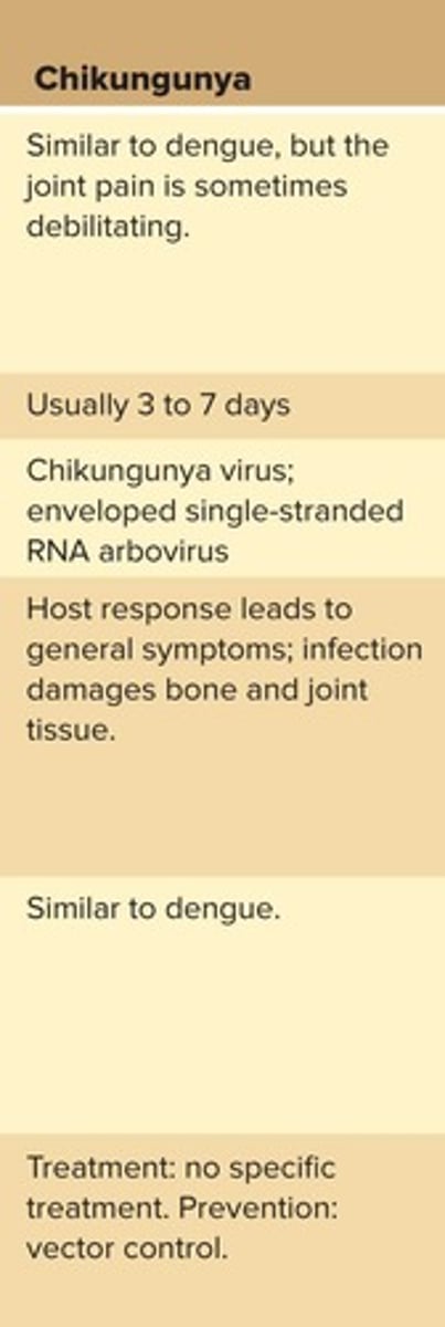 <p>Fever lasting 2-5 days, severe joint pain, rash, headache, conjunctivitis, photophobia, back pain, nausea, and general malaise.</p>