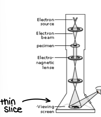 <p>Shines electrons on a thin slice of the NP, giving a high res 2D image, even allowing view of atoms.</p>